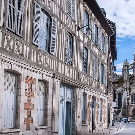 Les Cigognes Ande