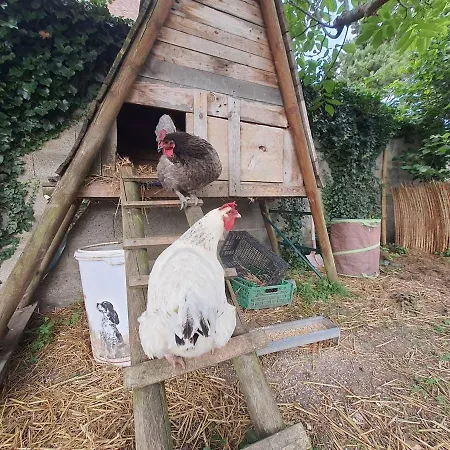 Les Cigognes Vakantiehuis Andé